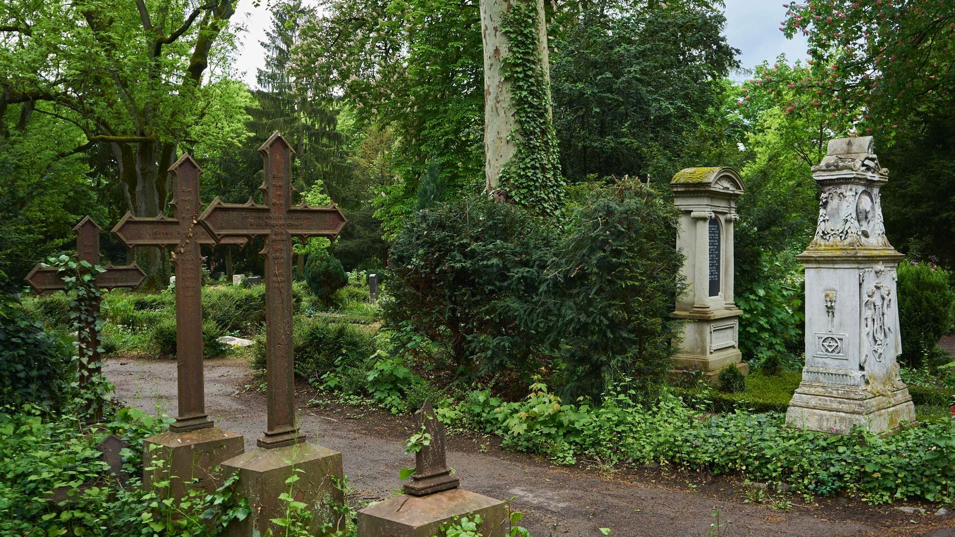 Der Frankfurter Hauptfriedhof (Symbolbild): Ein Mann ist angeklagt, weil er Hunderte Urnen klaute. Der Frankfurter Hauptfriedhof (Symbolbild): Ein Mann ist angeklagt, weil er Hunderte Urnen klaute.