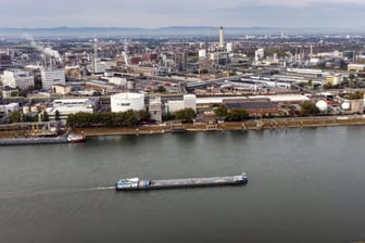 BASF Werk Ludwigshafen: 300 Kilogramm des Stoffs Imidazol sind in den Rhein geflossen.