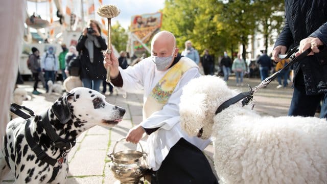 Diakon Carsten Lehmann segnet zwei Hunde mit einem Aspergill und Weihwasser. Diakon Carsten Lehmann segnet zwei Hunde mit einem Aspergill und Weihwasser.