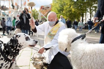 Diakon Carsten Lehmann segnet zwei Hunde mit einem Aspergill und Weihwasser.