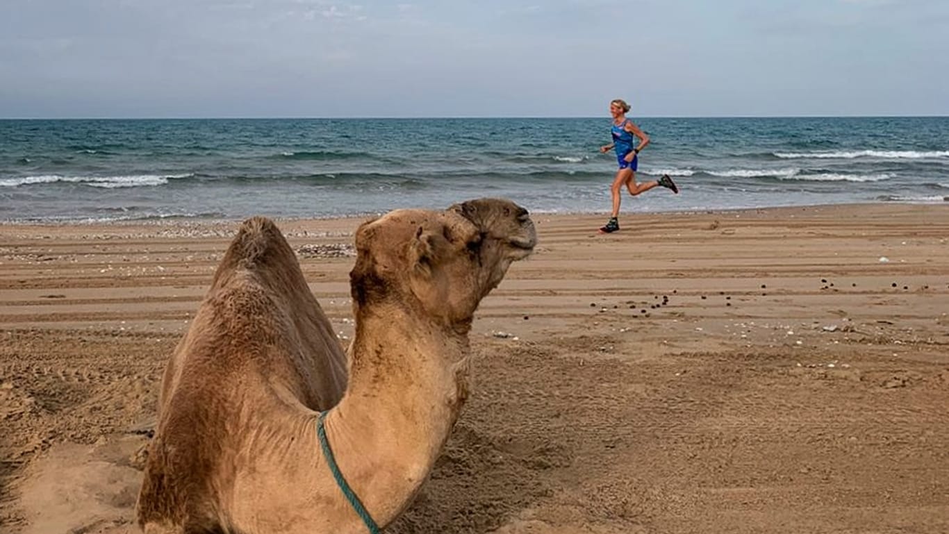 Ein Kamel sitzt im Sand, dahinter ist eine Läuferin zu sehen: Auf der 100 Kilometer langen Wettkampfstrecke begegnete Judith Havers auch einer Kamelherde.