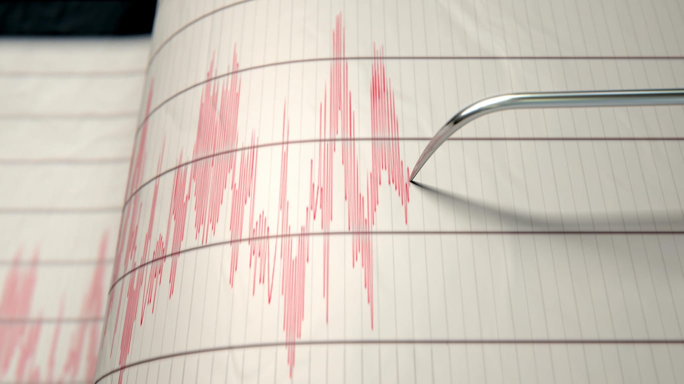 Ein Seismograph zeichnet die Erdbewegungen auf (Symbolbild): In Bonn hat es ein nächtliches Beben gegeben.