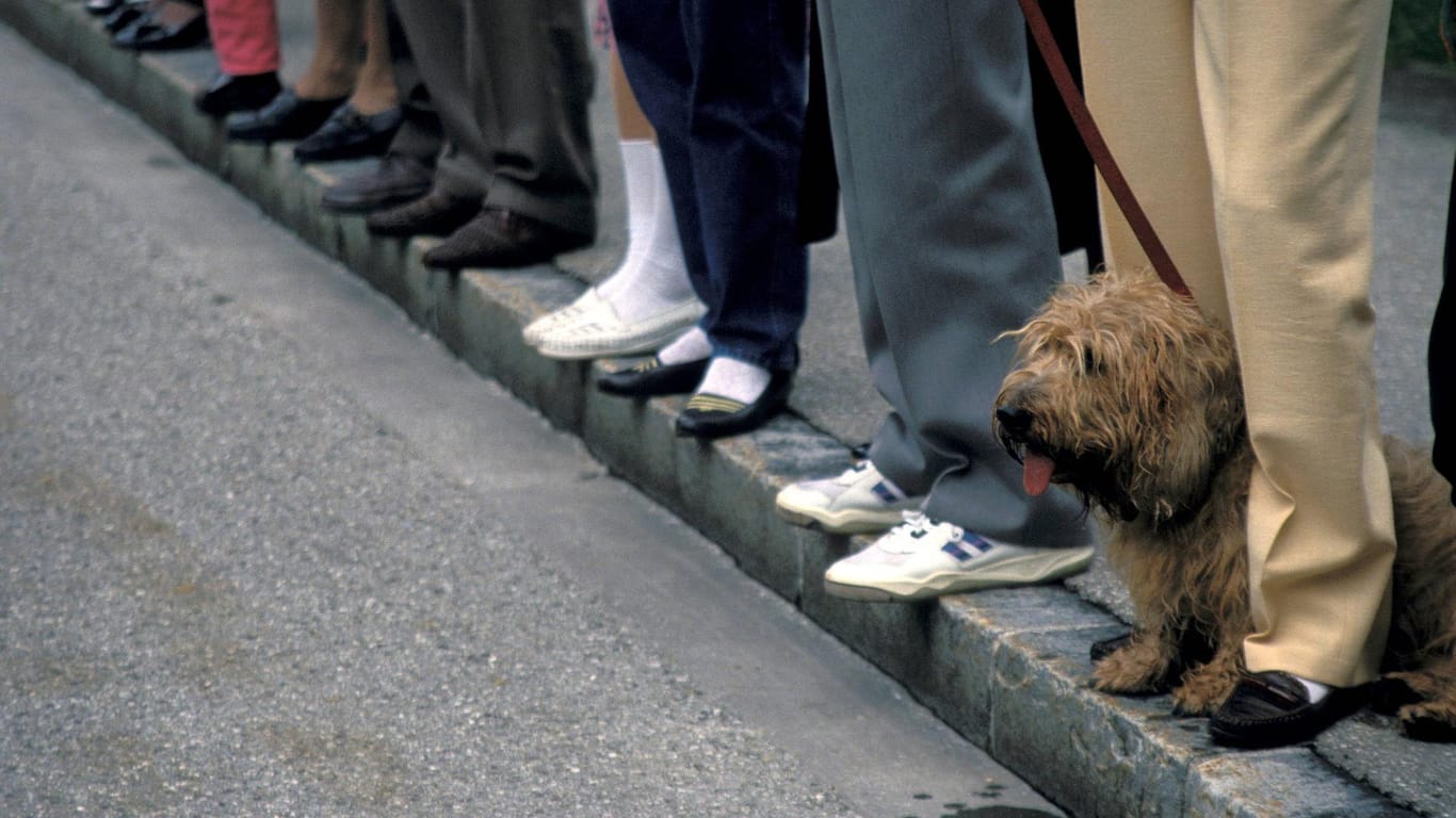 Ein Hund steht angeleint an einer Haltestelle (Symbolbild): Mit einer waghalsigen Aktion hat ein Kölner Fahrgast seinen Hund gerettet.
