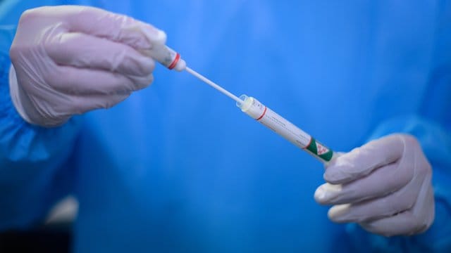 Ein Arzt hält einen Coronavirus-Test in den Händen Ein Arzt hält einen Coronavirus-Test in den Händen