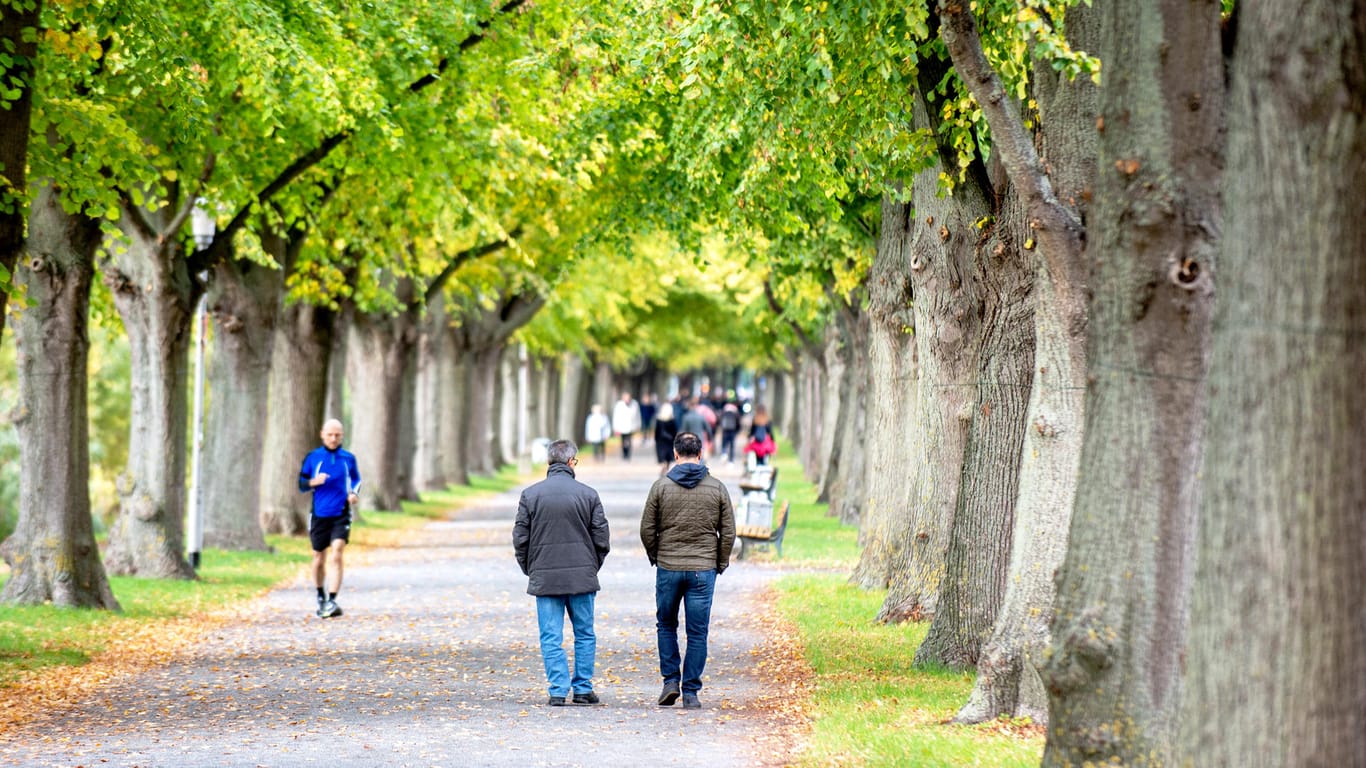 Hannover: Spaziergänger und Jogger sind bei herbstlichem Wetter in einer Allee unterwegs.