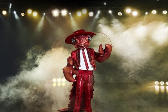 Die Figur "Der Hummer" aus der Prosieben-Show "The Masked Singer".