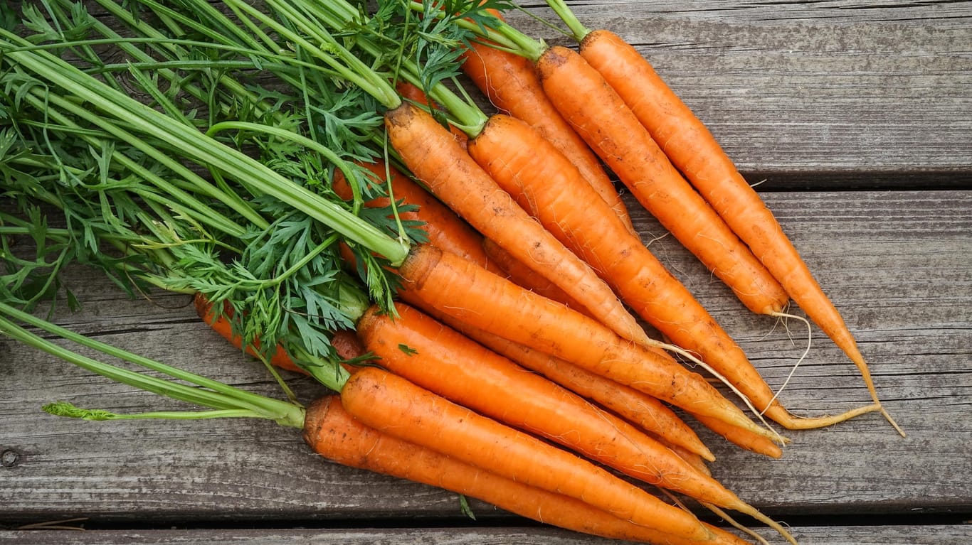 Möhren: Beim Kauf erkennt man frische Karotten an einem intensiven Orange und einer knackig-festen Konsistenz.