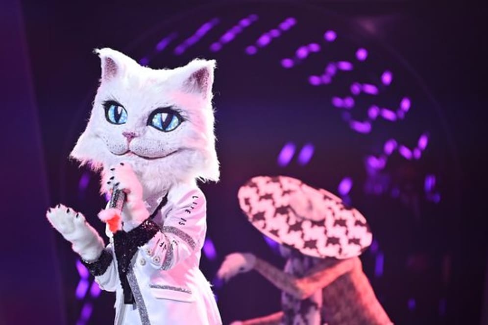 Die Figur "Die Katze" in der ProSieben-Show "The Masked Singer".