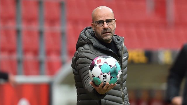 Leverkusens Trainer Peter Bosz trifft mit seinem Team auf OGC Nizza.