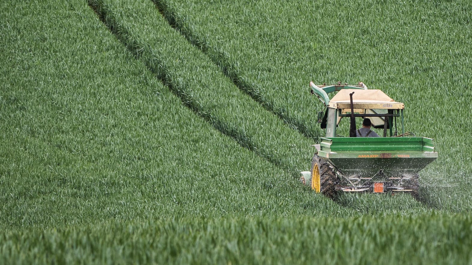 Ein Landwirt fährt mit einem Traktor über ein noch grünes Getreidefeld: Die EU-Staaten haben sich auf eine Reform der milliardenschweren Agrarpolitik verständigt.