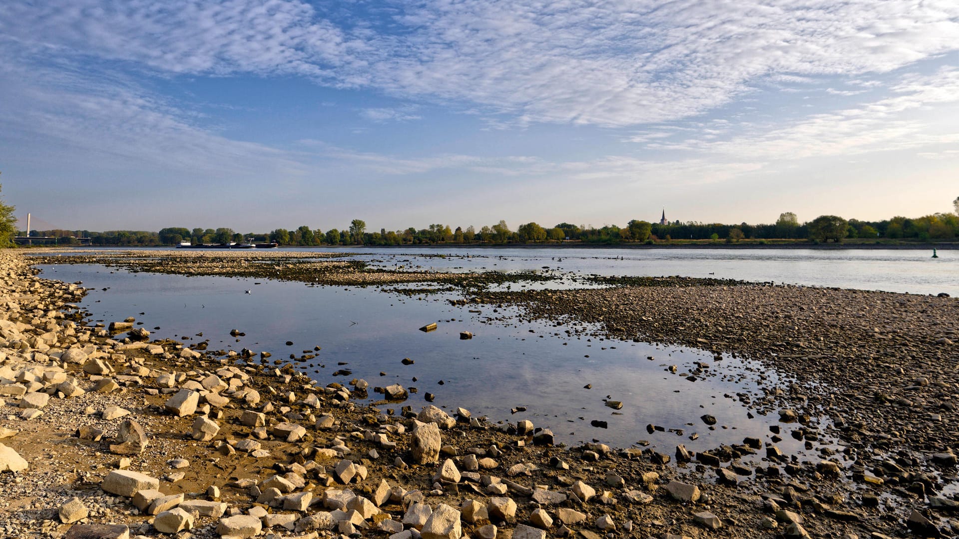 Der ausgetrocknete Rhein in Bonn: Auch in diesem Sommer war es vielerorts zu trocken.