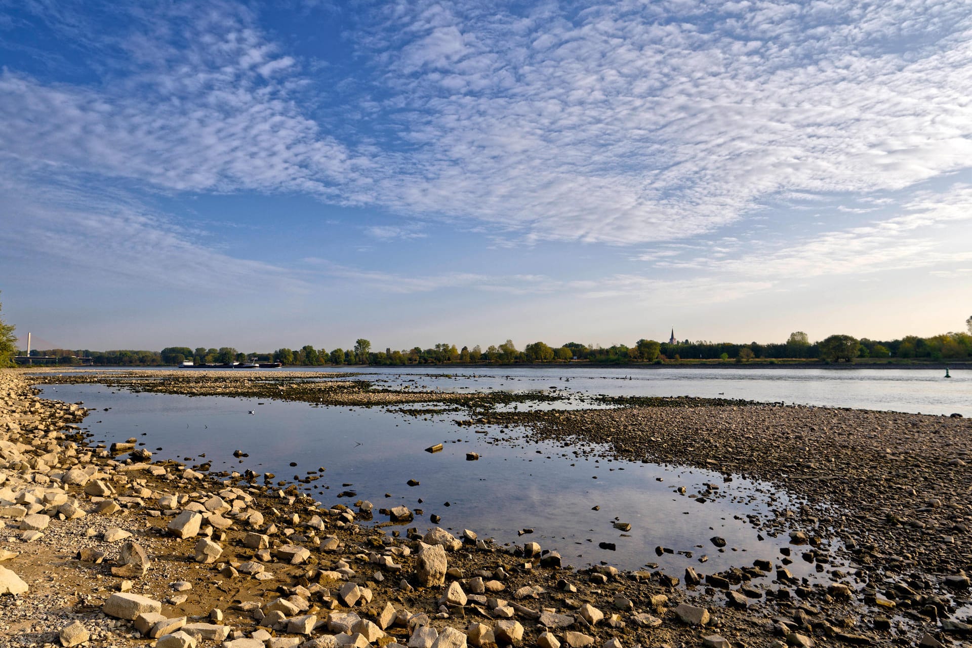 Der ausgetrocknete Rhein in Bonn: Auch in diesem Sommer war es vielerorts zu trocken.