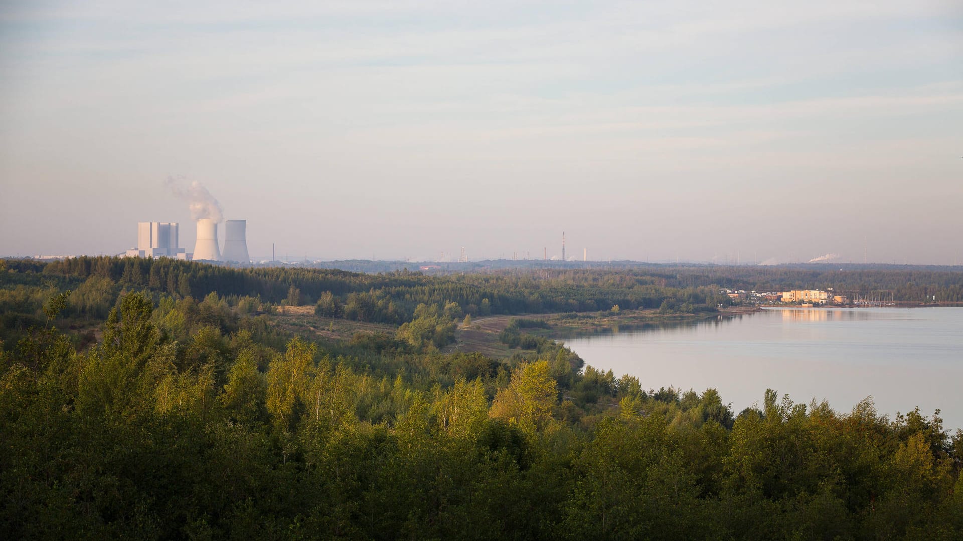 Störmthaler See im Landkreis Leipzig (Symbolbild): Eine Initiative will ein neues Waldstück pflanzen. Störmthaler See im Landkreis Leipzig (Symbolbild): Eine Initiative will ein neues Waldstück pflanzen.