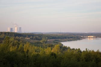 Störmthaler See im Landkreis Leipzig (Symbolbild): Eine Initiative will ein neues Waldstück pflanzen.