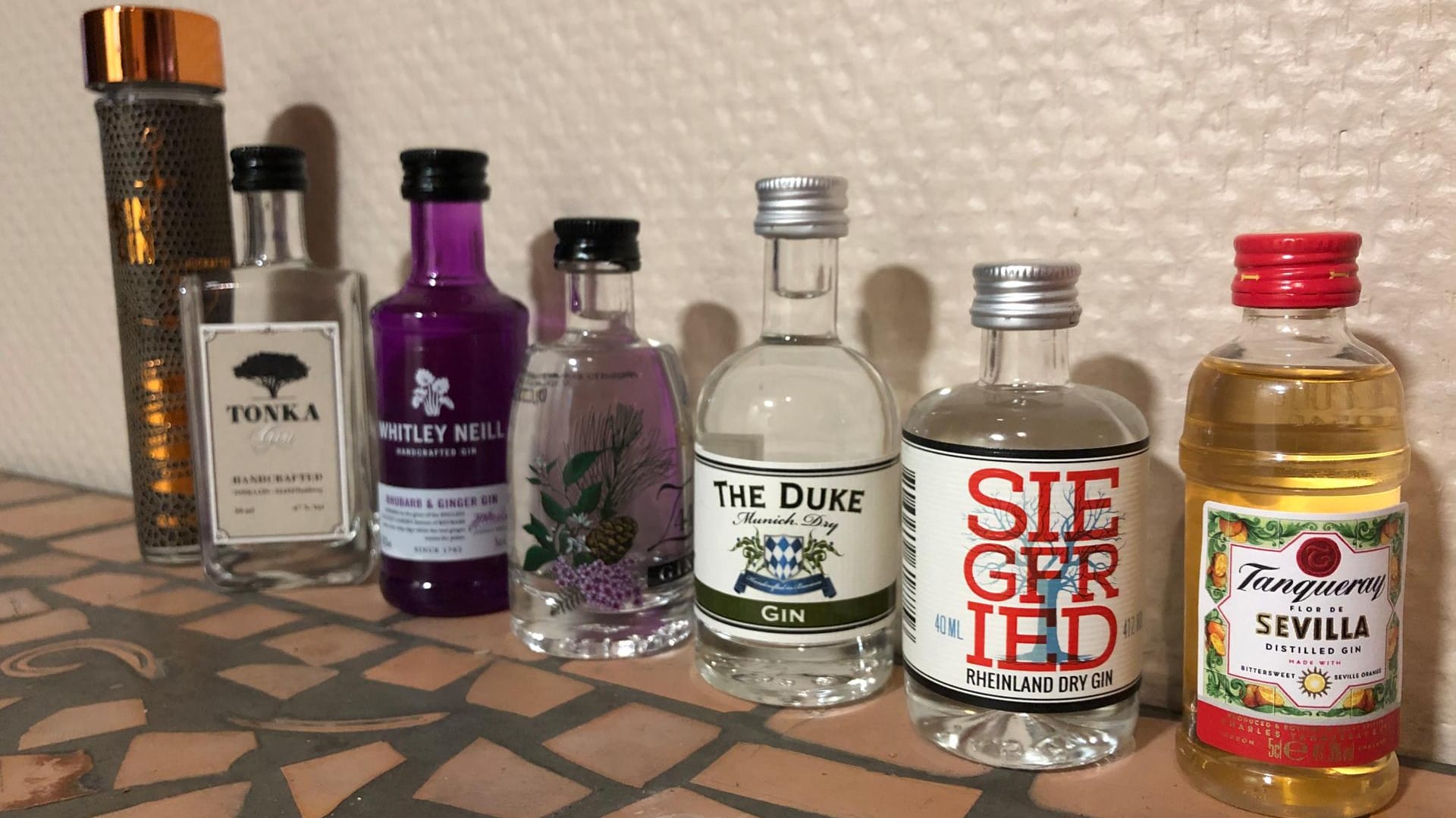 Von links nach rechts: SKIN GIN, Tonka Gin, Whitley Neill Rhubarb & Ginger, Z44 Gin, THE DUKE Munich Dry Gin, Siegfried Rheinland Dry Gin und Tanqueray Flor de Sevilla.