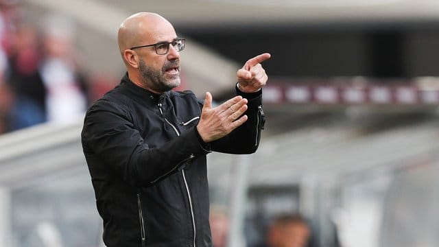 Hadert mit dem Spielplan: Leverkusen-Coach Peter Bosz.