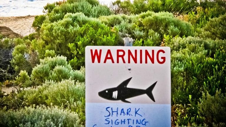 Schild warnt an einem Strand in Australien vor Haien: 2020 wurden in Downunder schon sieben Menschen von den Raubfischen getötet. (Symbolfoto)