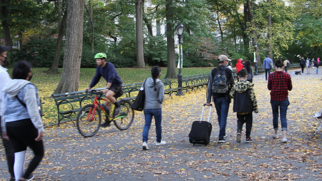 Central Park in New York: Weniger Deutsche als bislang sind im vergangen Jahr in die USA ausgewandert.