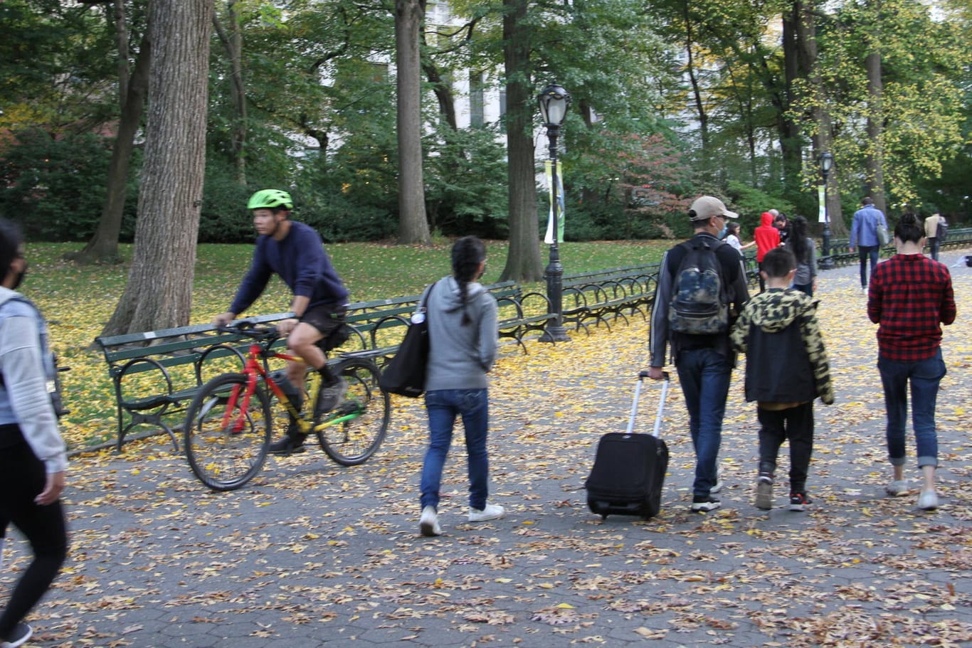 Central Park in New York: Weniger Deutsche als bislang sind im vergangen Jahr in die USA ausgewandert.