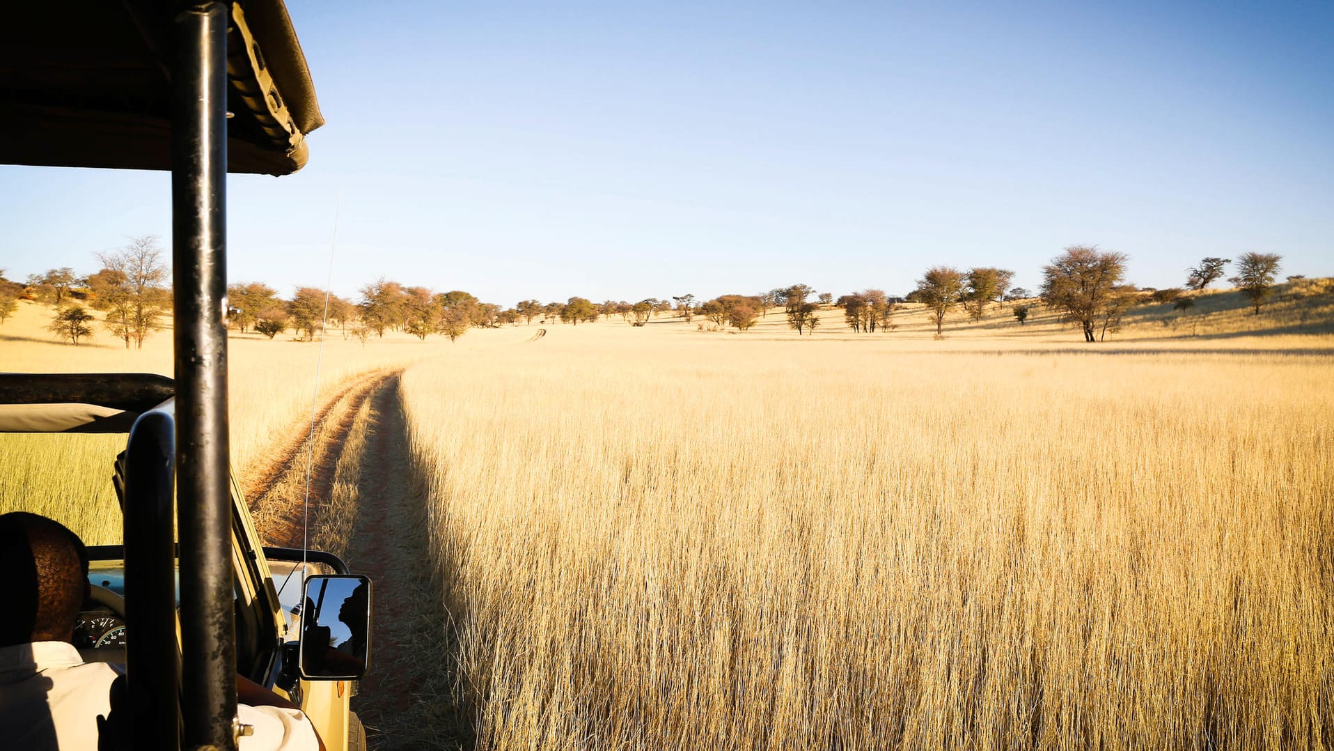 Safari in der Kalahari: Namibia ist eines der Länder in Afrika, die derzeit schon wieder von deutschen Reiseveranstaltern angeboten werden.