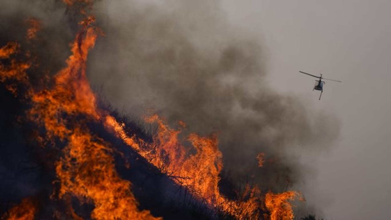 Ein Lösch-Hubschrauber kämpft gegen die Flammen der Waldbrände in Kalifornien.