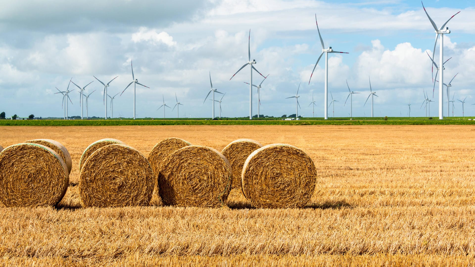 Abgeerntetes Feld: Die Gemeinsame Agrarpolitik der EU stößt bei Klimaschützern auf Kritik.