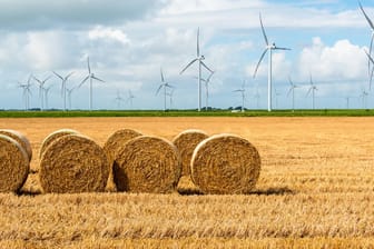 Abgeerntetes Feld: Die Gemeinsame Agrarpolitik der EU stößt bei Klimaschützern auf Kritik.