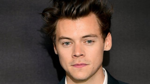 Harry Styles entpuppt sich als US-Wahlkampfhelfer.
