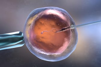 3D Illustration einer In-Vitro-Befruchtung: Viele Paare versuchen, mit fortpflanzungsmedizinischen (reproduktionsmedizinischen) Behandlungsmethoden eine Schwangerschaft zu unterstützen.