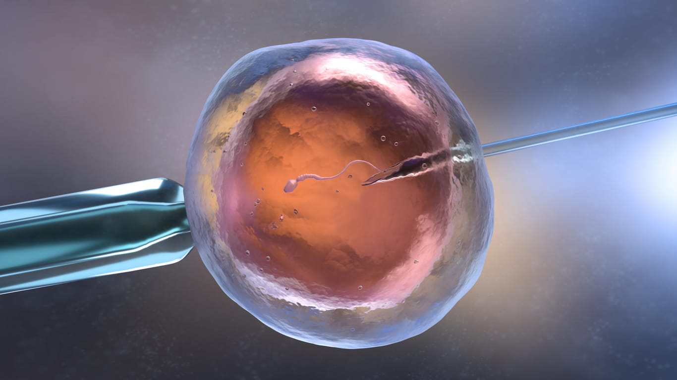 3D Illustration einer In-Vitro-Befruchtung: Viele Paare versuchen, mit fortpflanzungsmedizinischen (reproduktionsmedizinischen) Behandlungsmethoden eine Schwangerschaft zu unterstützen.