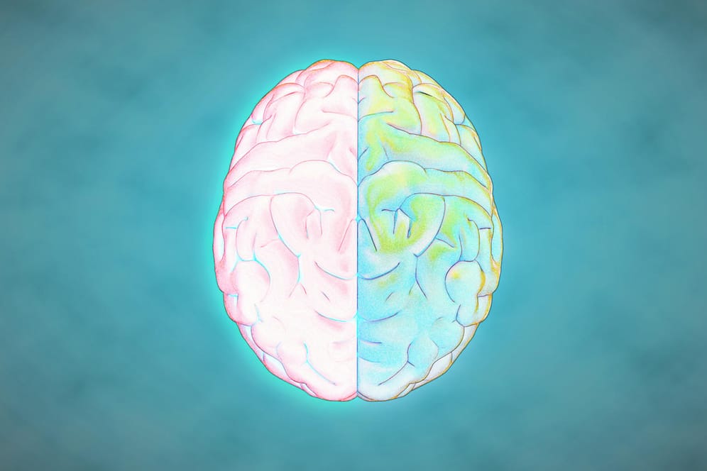 Zeichnung eines Gehirns: