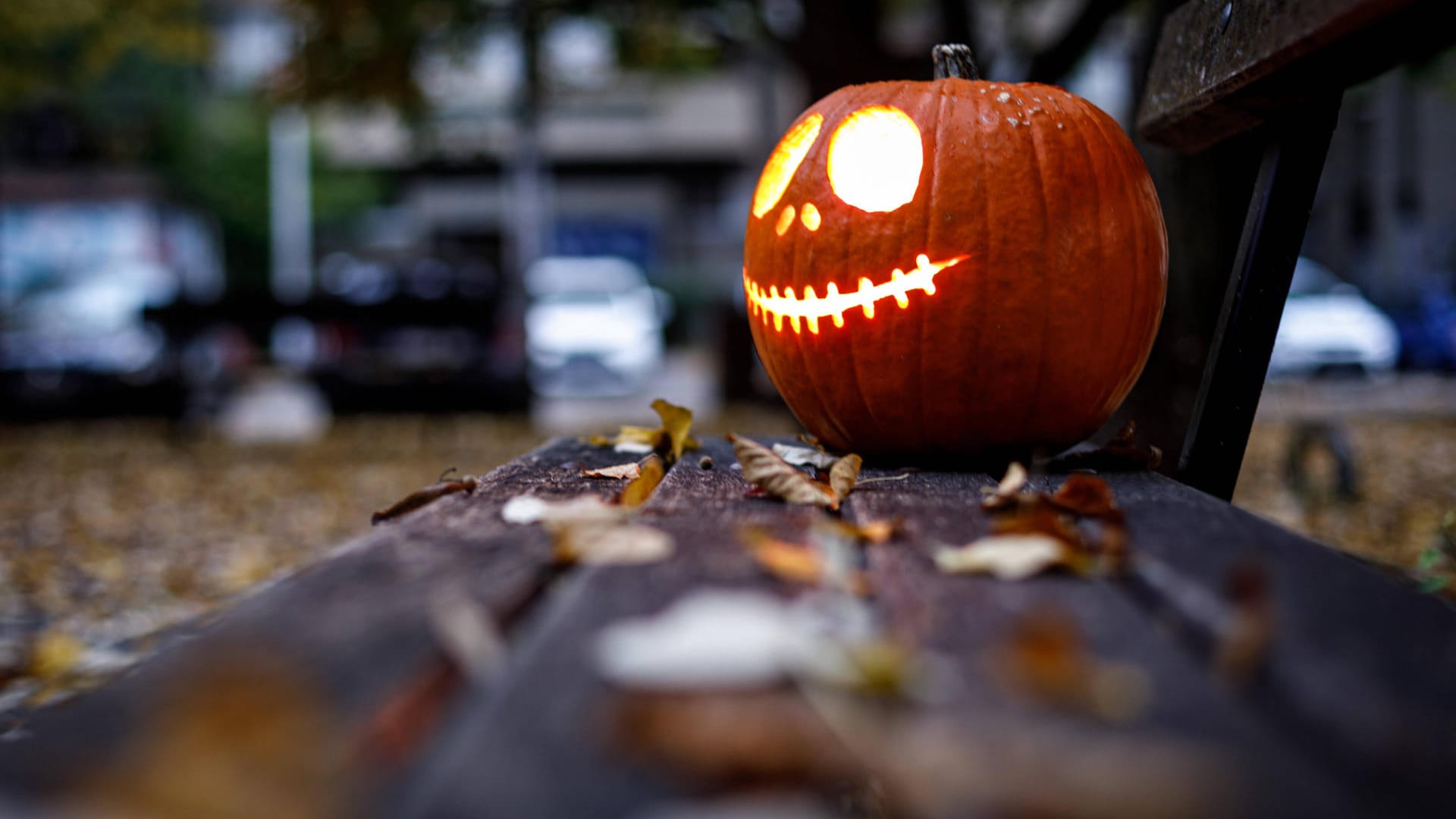 EIn Kürbis zu Halloween (Symbolbild): In diesem Jahr sollte auf das Sammeln von Süßigkeiten verzichtet werden.