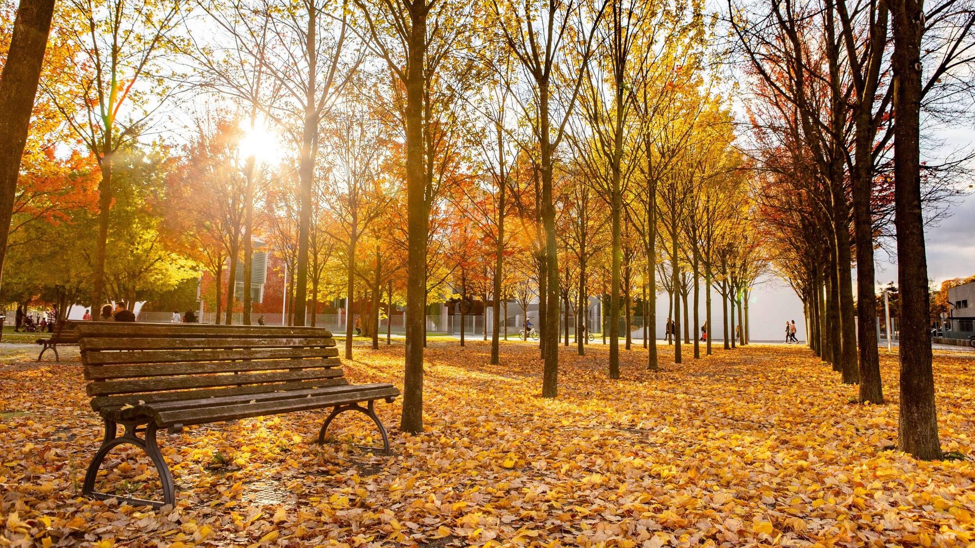 Sonniger Herbsttag: Der November startet freundlich, sonnig und warm. Sonniger Herbsttag: Der November startet freundlich, sonnig und warm.