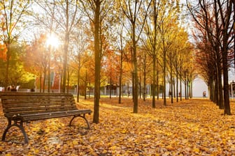 Sonniger Herbsttag: Der November startet freundlich, sonnig und warm.