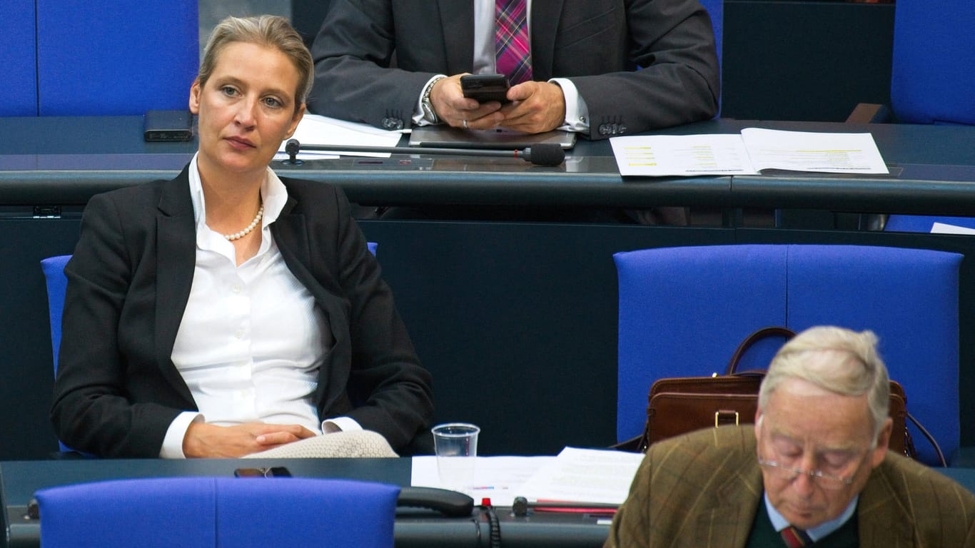 Fraktionschefin Alice Weidel geht mit einer gemeinsamen Klage gegen die Maskenpflicht im Bundestag vor.