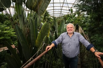 Leipzigs Zoo-Chef Jörg Junhold steht in der Tropenhalle: Der Zoodirektor bedauert, dass er im November schließen muss.