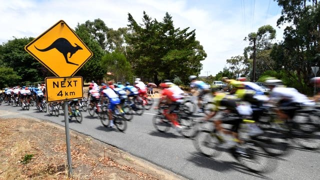 Die Tour Down Under und das Cadel Evans Great Ocean Road Race sind für den kommenden Januar abgesagt.