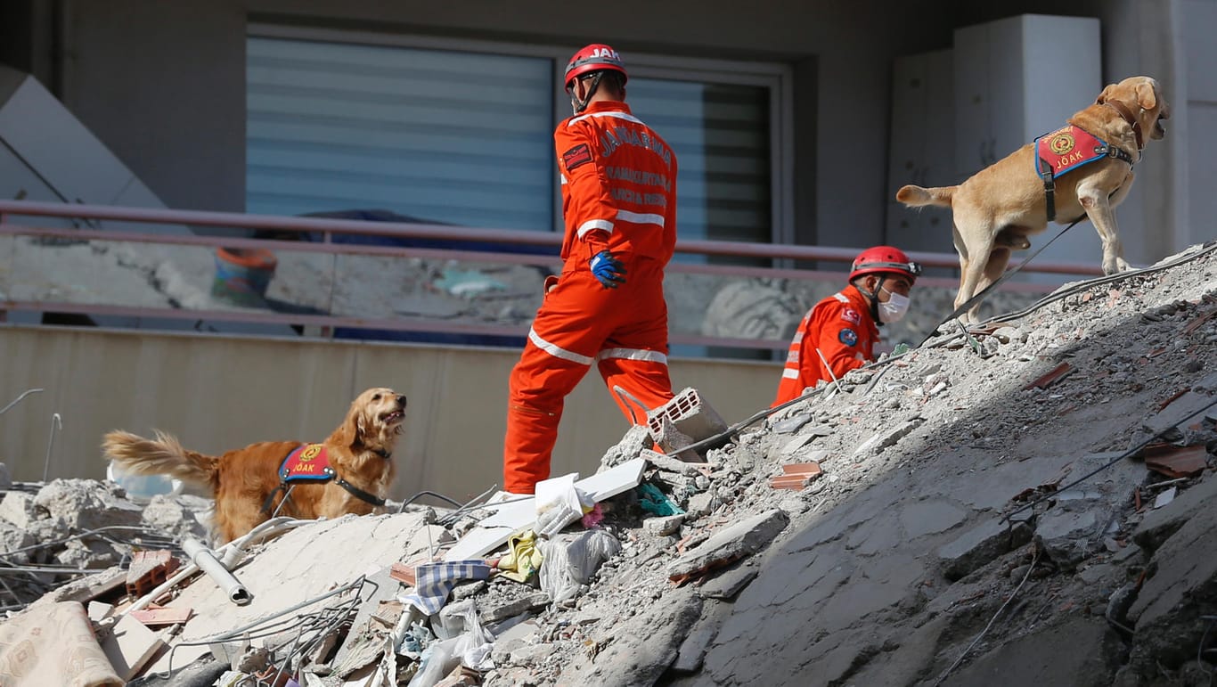 Türkei, Izmir: Rettungskräfte suchen mit Spürhunden in den Trümmern eines eingestürzten Gebäudes nach Überlebenden.