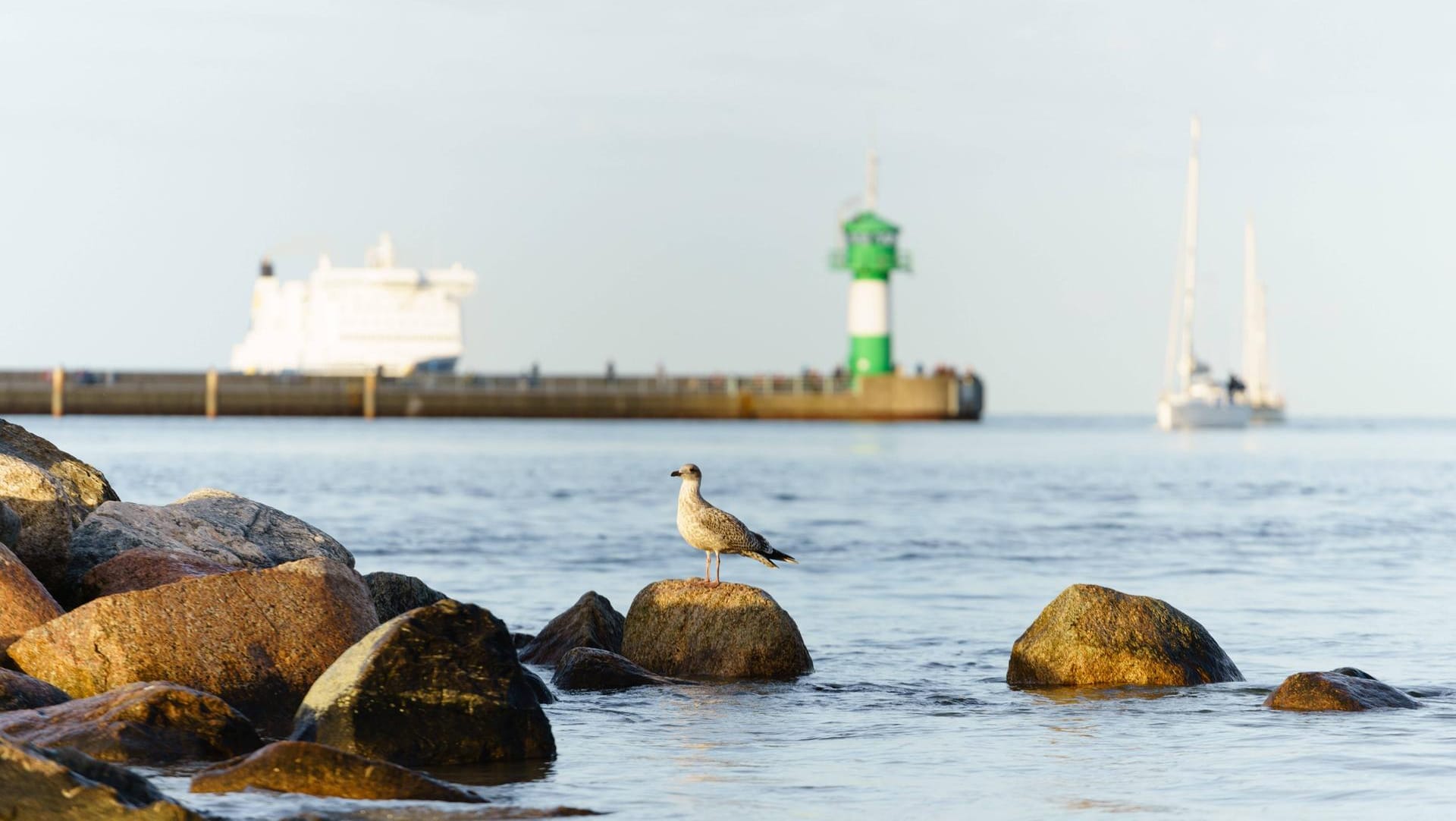 Travemünde Schleswig-Holstein: Drei Angler kenterten bei Dunkelheit und mussten vor dem Ertrinken gerettet werden. Travemünde Schleswig-Holstein: Drei Angler kenterten bei Dunkelheit und mussten vor dem Ertrinken gerettet werden.