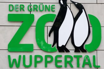 Das Logo des Grünen Zoos Wuppertal hängt an einer Wand (Archivbild): Der Zoo muss im November schließen.