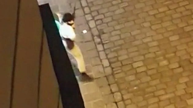 Das Foto soll einen der Attentäter in der Wiener Innenstadt zeigen.