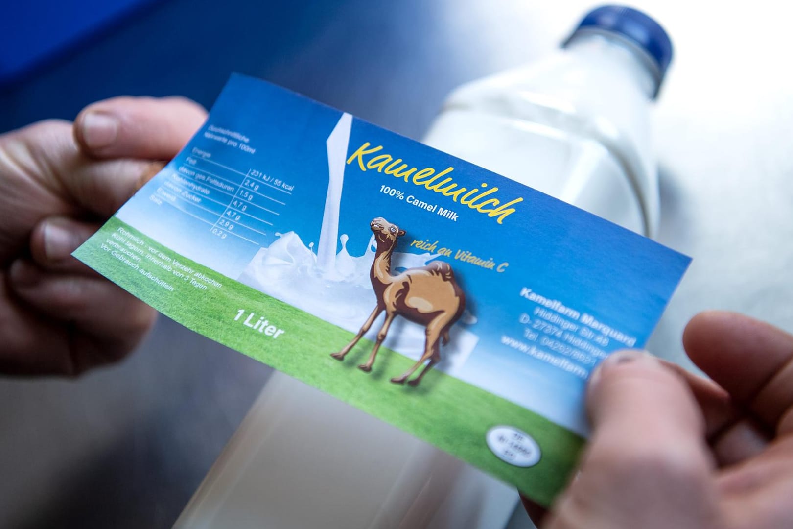 Kamelmilch: Für eine europaweite Vermarktung muss Kamelmilch pasteurisiert sein.