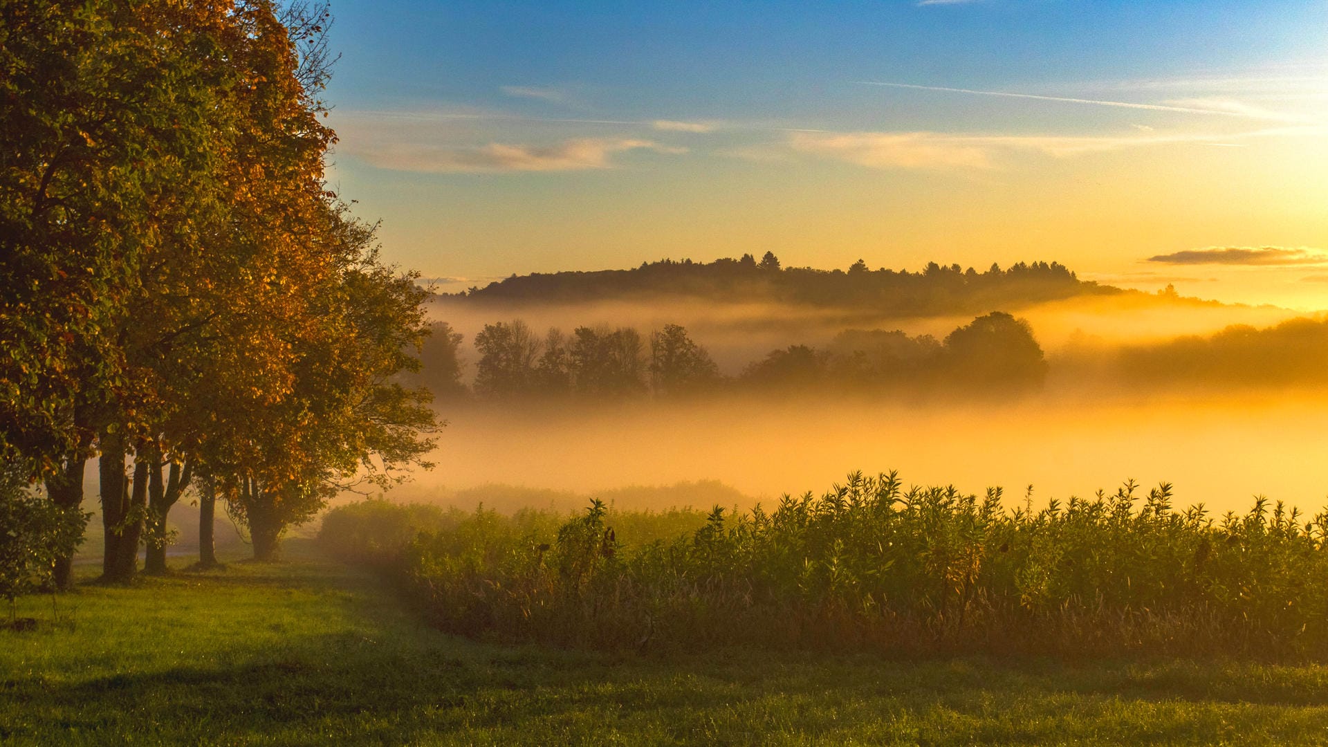 Nebel und Sonne in Deutschland: An einigen Orten kann es zu Nebel kommen (Symbolbild). Nebel und Sonne in Deutschland: An einigen Orten kann es zu Nebel kommen (Symbolbild).