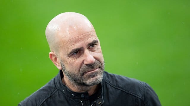 Freut sich auf das Spiel gegen Hapoel Be'er Sheva: Leverkusens Trainer Peter Bosz.