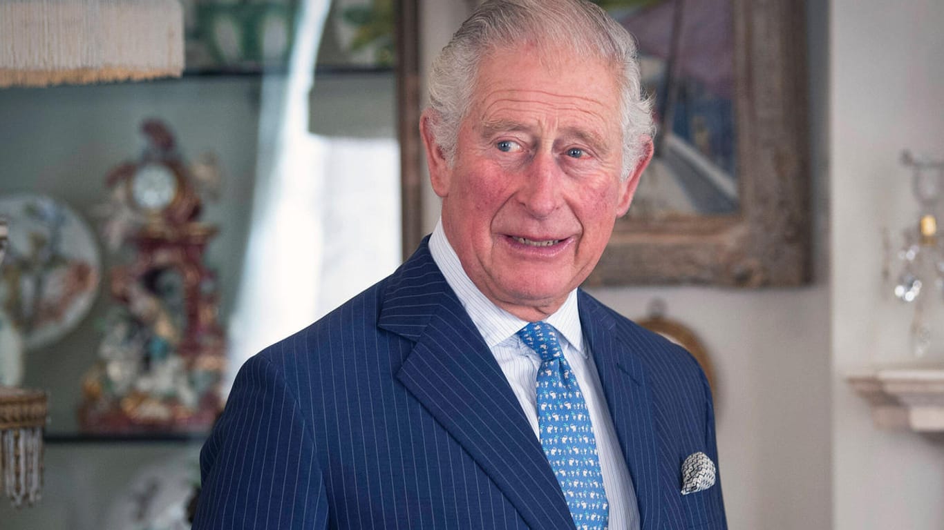 Prinz Charles: Der britische Thronfolger hat dem Modemagazin ein Interview gegeben und sich dafür inmitten von Hortensien ablichten lassen.