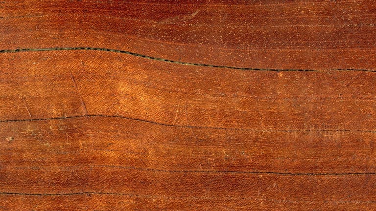 Holz mit Kratzer und Rissen: Wie diese bearbeitet werden, hängt auch von den Beschädigungen ab.