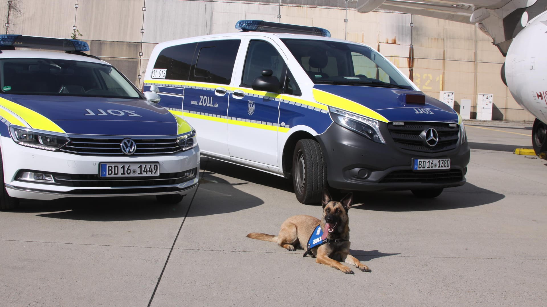 Einsatzfahrzeuge und ein Spürhund des Zolls am Frankfurter Flughafen (Archivbild): Die Ermittler finden immer wieder Rauschgift versteckt in harmlosen Gegenständen. Einsatzfahrzeuge und ein Spürhund des Zolls am Frankfurter Flughafen (Archivbild): Die Ermittler finden immer wieder Rauschgift versteckt in harmlosen Gegenständen.