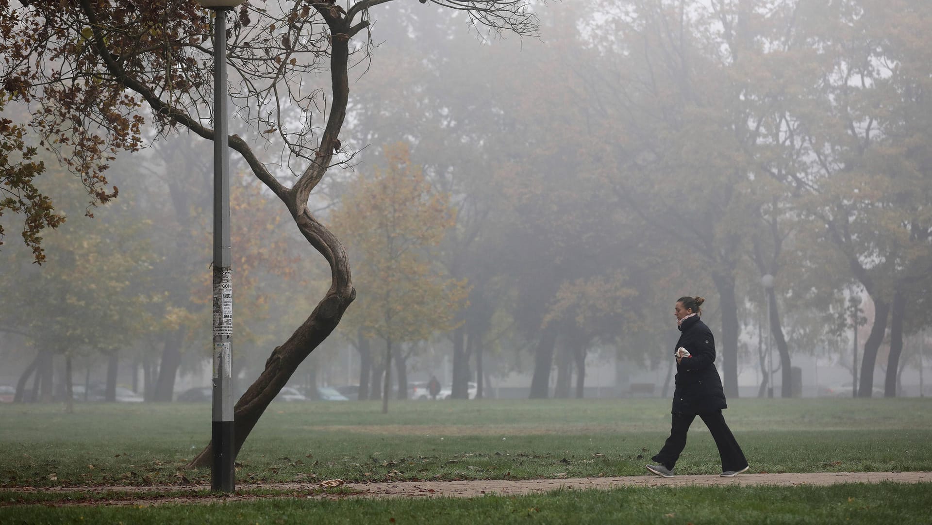 Spaziergängerin in einem Park: In weiten Teilen Deutschlands wird es zu Beginn der Woche trüb und neblig. (Symbolfoto) Spaziergängerin in einem Park: In weiten Teilen Deutschlands wird es zu Beginn der Woche trüb und neblig. (Symbolfoto)