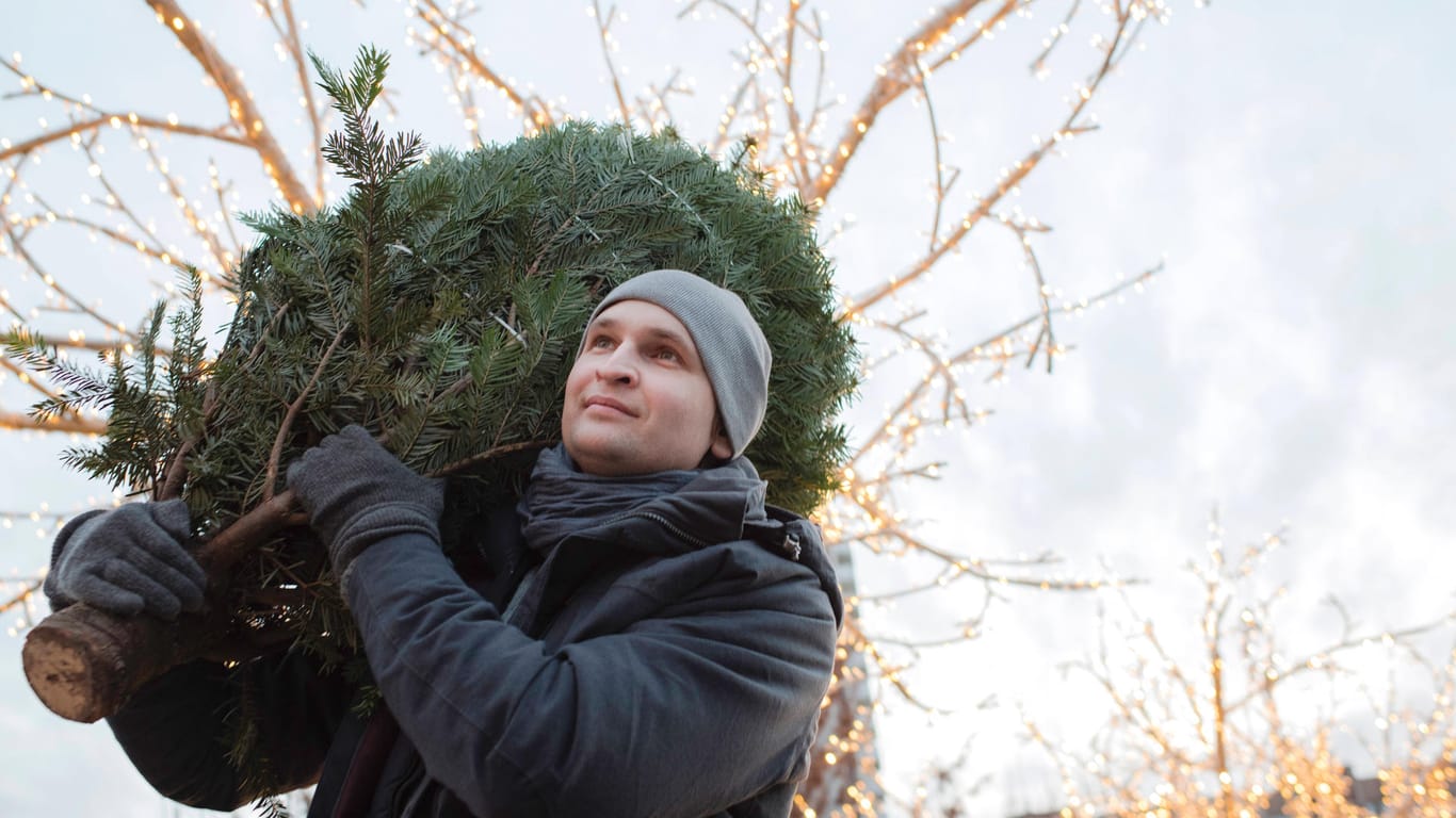 Weihnachtsbaum kaufen: Will man den Baum zu Hause direkt aufstellen, kann man den Verkäufer bitten, ihn ständerfertig zu machen.