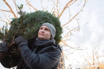 Weihnachtsbaum kaufen: Will man den Baum zu Hause direkt aufstellen, kann man den Verkäufer bitten, ihn ständerfertig zu machen.